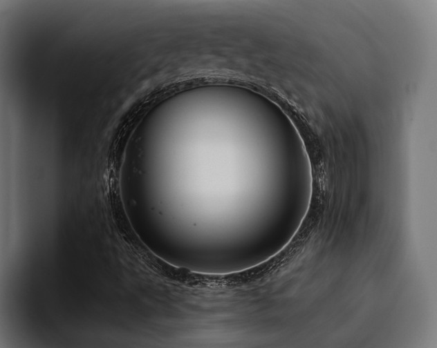 X0000094461495200711081315