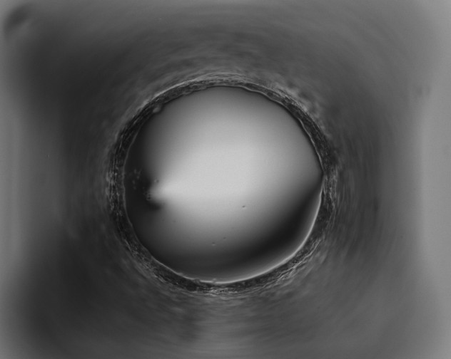 X0000094461496200711081315