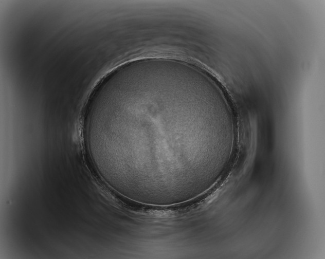 X0000094461498200711081315