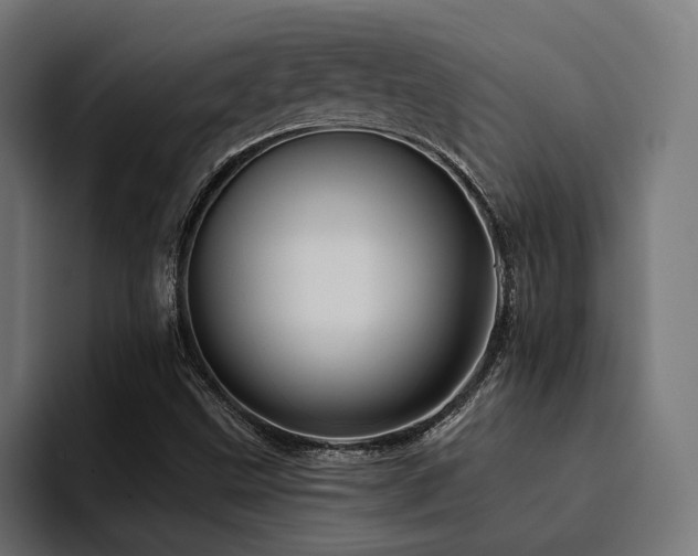 X0000094461499200711081315