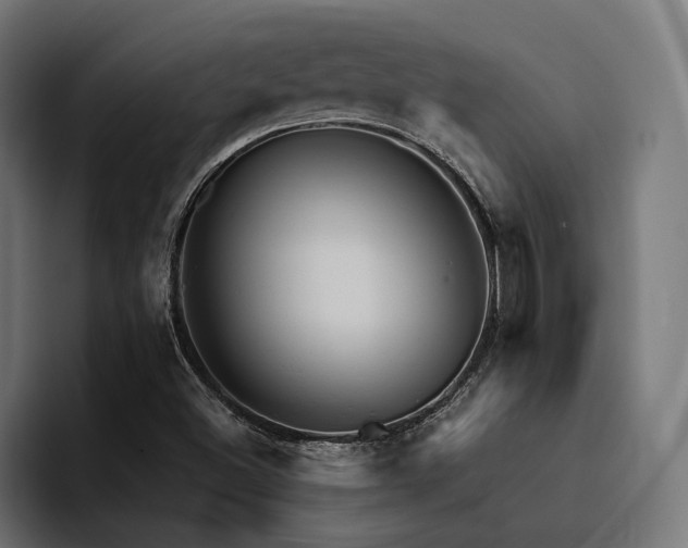X0000094461500200711081315