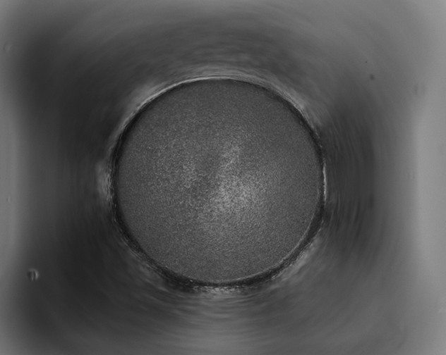 X0000094461501200711081315