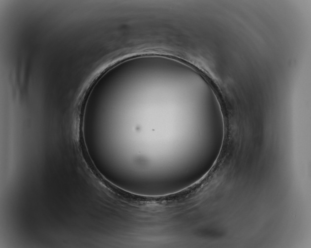 X0000094461504200711081315