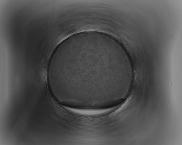 X0000094461505200711081315