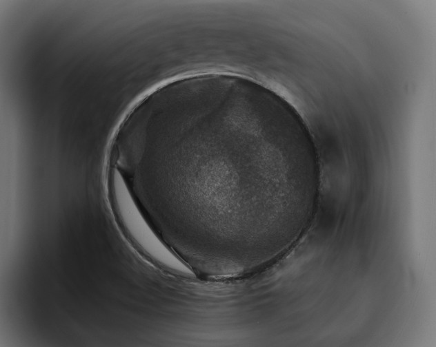 X0000094461508200711081315