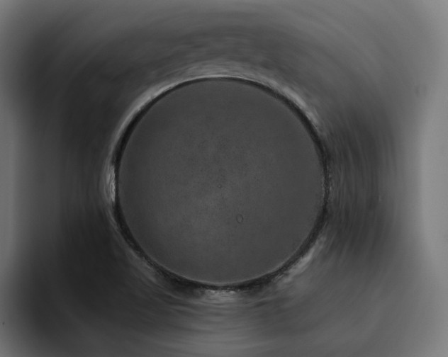 X0000094461509200711081315
