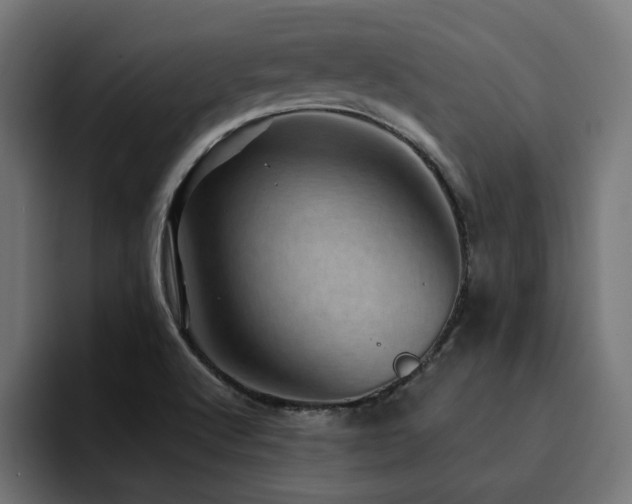 X0000094461512200711081315