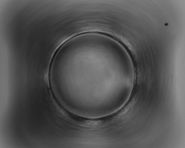 X0000094461513200711081315