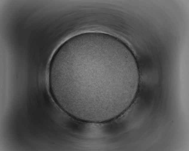 X0000094461514200711081315