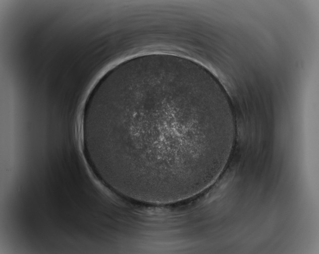X0000094461515200711081315