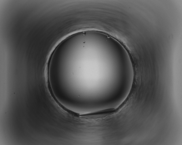 X0000094461516200711081315