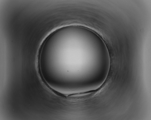 X0000094461518200711081315