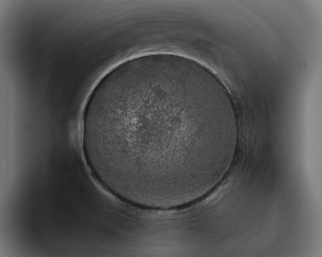 X0000094461519200711081315