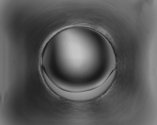 X0000094461520200711081315