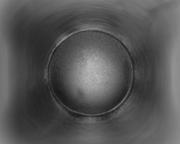 X0000094461521200711081315