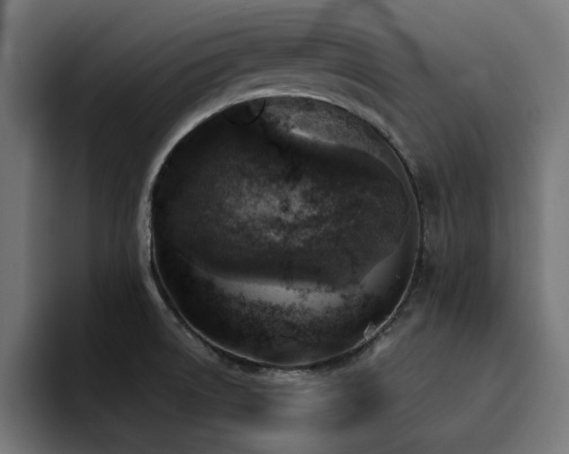 X0000094461522200711081315