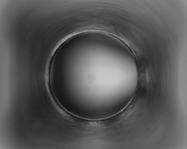 X0000094461523200711081315