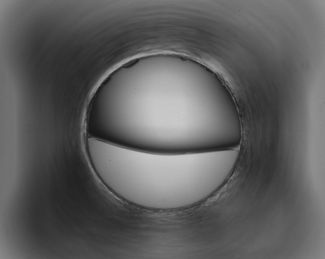 X0000094461524200711081315
