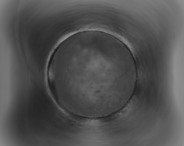 X0000094461525200711081315