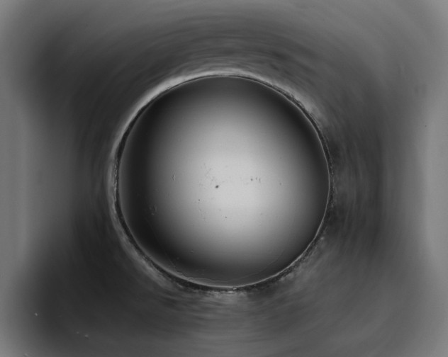 X0000094461526200711081315
