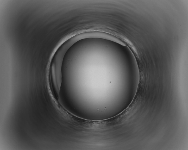 X0000094461530200711081315