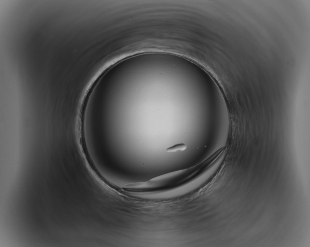 X0000094461531200711081315
