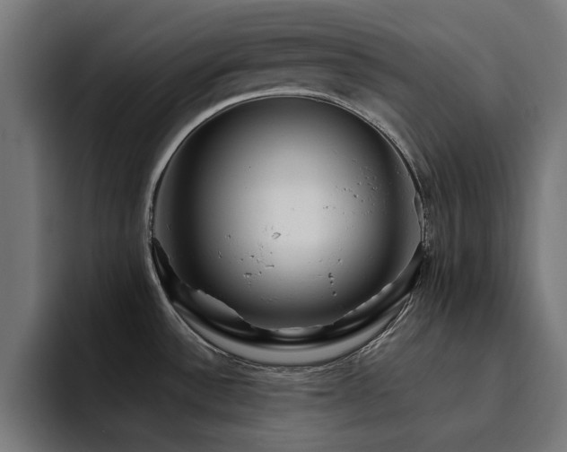 X0000094461532200711081315