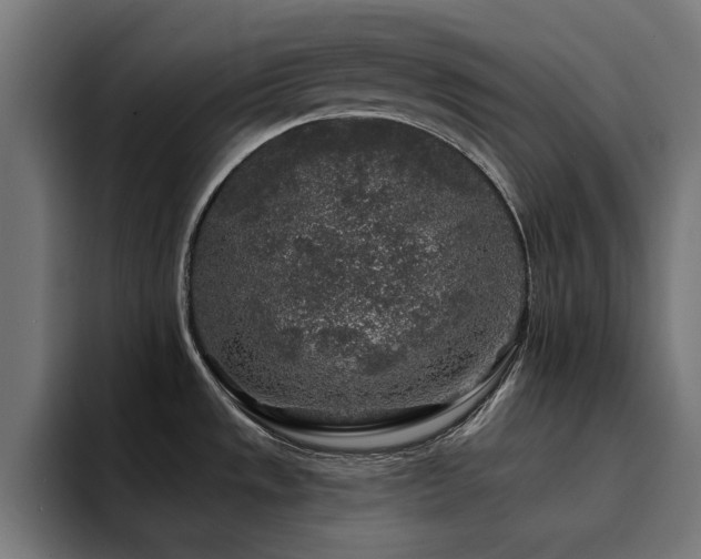 X0000094461533200711081315