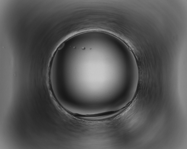 X0000094461534200711081315
