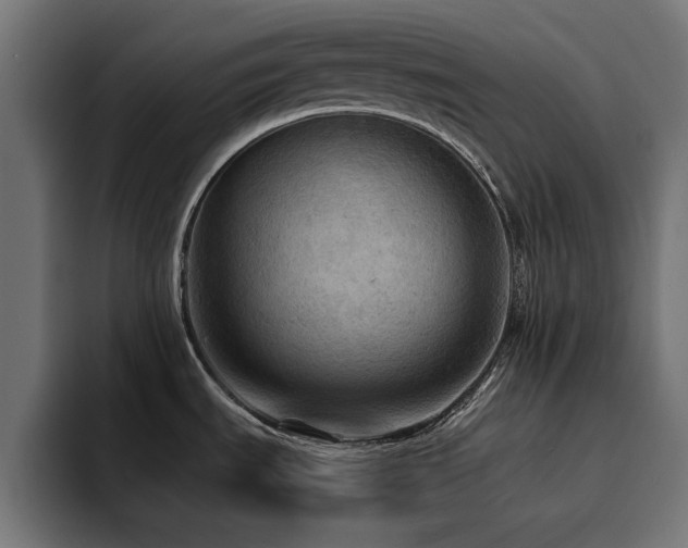 X0000094461535200711081315