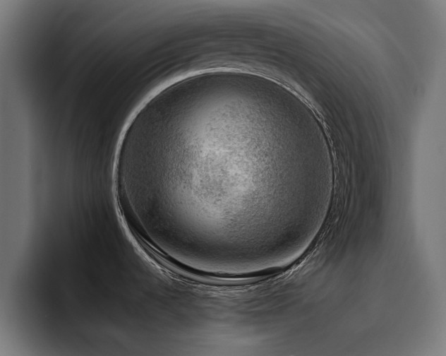 X0000094461536200711081315