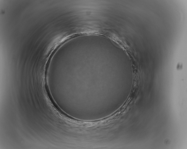 X0000094460002200711151500