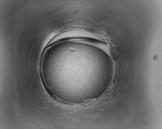 X0000094460003200711151500