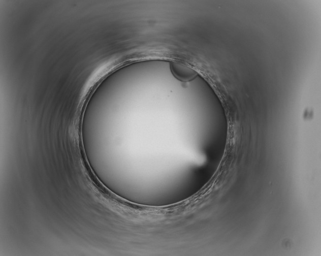 X0000094460004200711151500