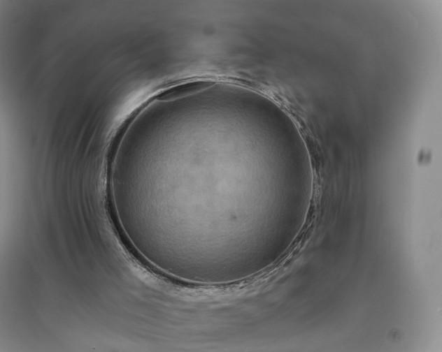 X0000094460005200711151500
