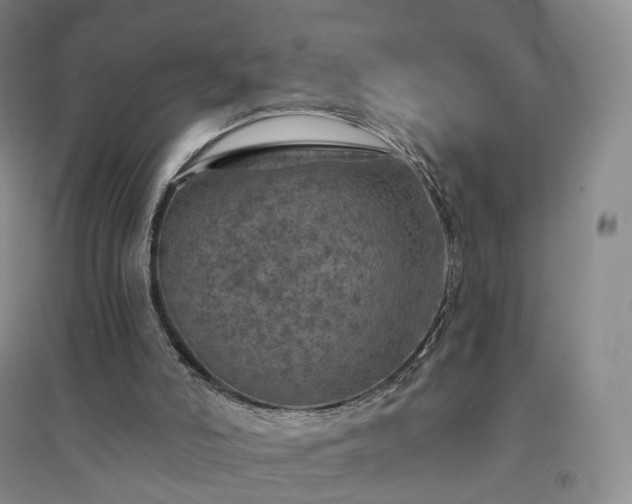 X0000094460006200711151500