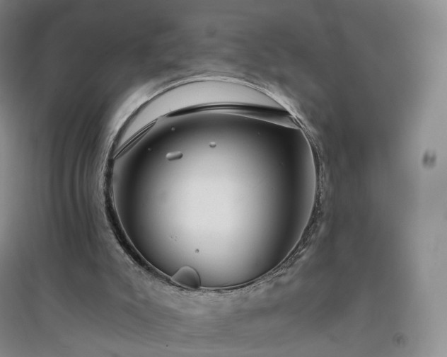 X0000094460007200711151500