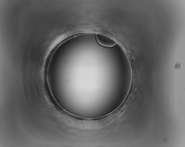 X0000094460008200711151500