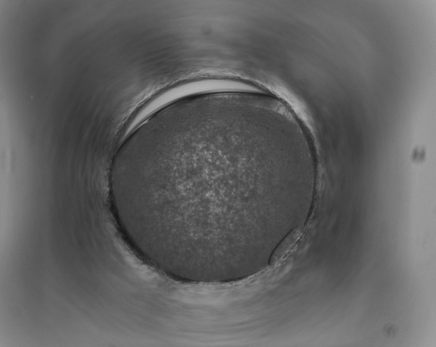 X0000094460009200711151500