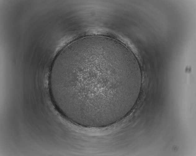 X0000094460010200711151500
