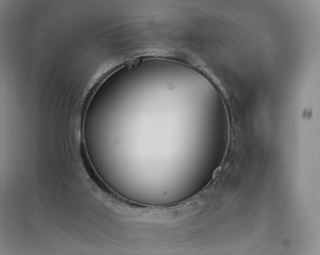 X0000094460011200711151500