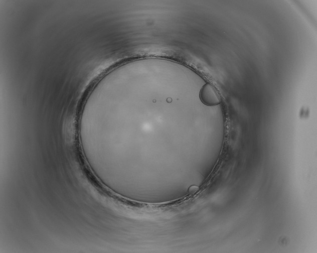 X0000094460012200711151500
