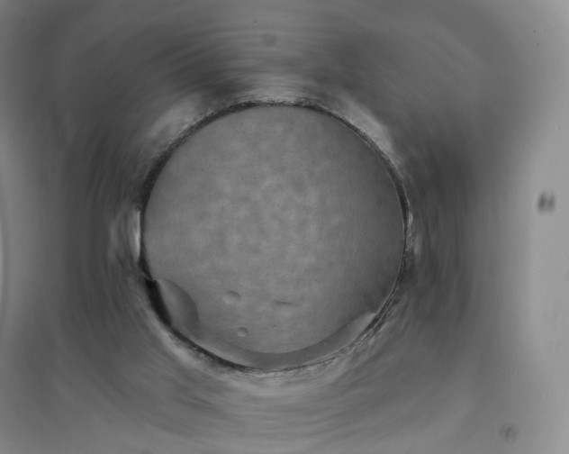 X0000094460013200711151500