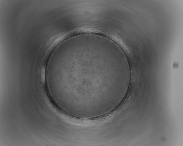 X0000094460014200711151500