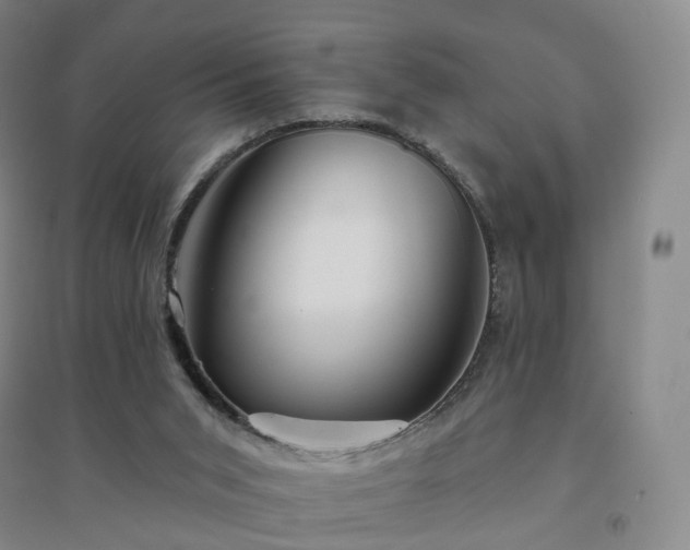 X0000094460015200711151500
