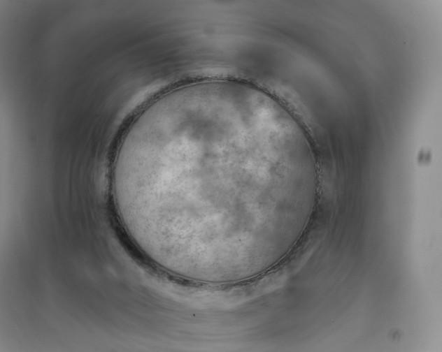 X0000094460016200711151500