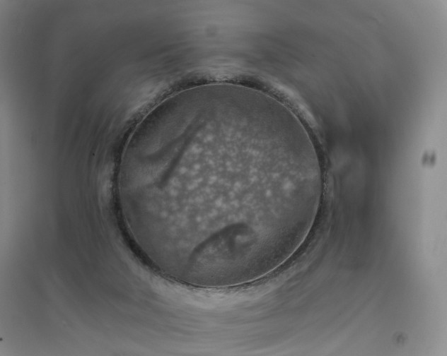 X0000094460018200711151500