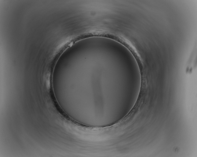 X0000094460019200711151500