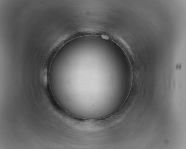 X0000094460020200711151500