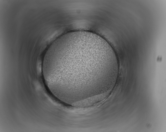 X0000094460021200711151500